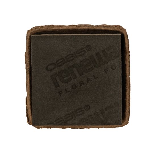 Bloemensteekschuim 1/2 blok OASIS® Renewal® Bloemensteekschuim Biolit® 12 cm 2 stuks