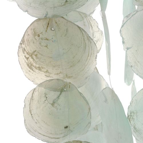 Floristik24 Capiz windgong hangende decoratie schelp decoratie groen Ø29cm 160cm