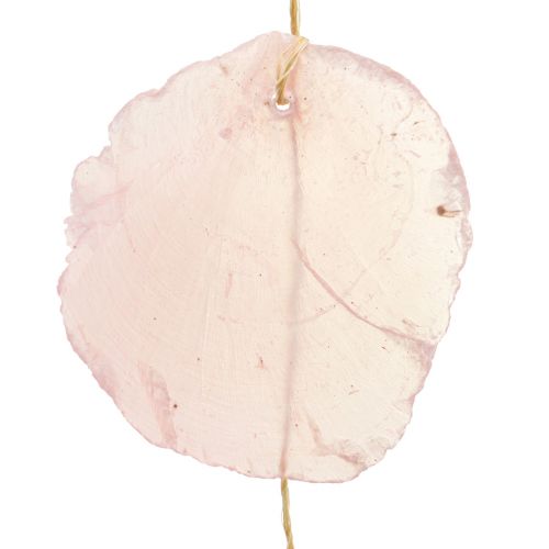 Floristik24 Schelpenslinger parelmoer schelpenslinger Capiz roze L108cm