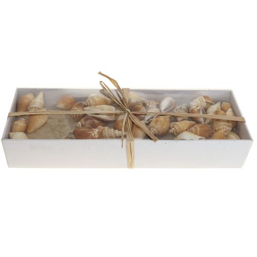 Artikel Capiz mosselen slakkenhuis decoratie maritiem bruin wit 600g