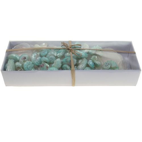 Floristik24 Capiz parelmoer schelp parelmoer plakjes zeeslakkenschild groen 2–9cm 650g