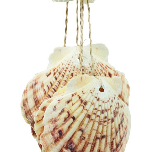 Floristik24 Maritieme hangende decoratie schelpen Maritieme windgong 74cm