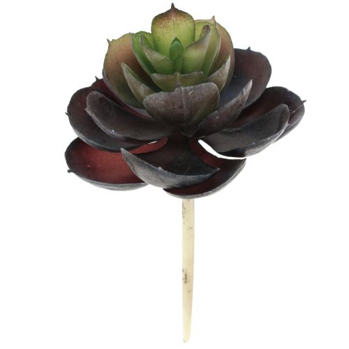 Succulent Echeveria Kunstgroene Planten Ø7cm 12cm 6 st