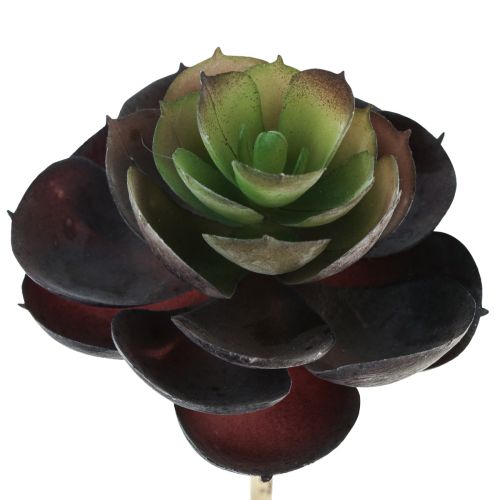 Artikel Succulent Echeveria Groene Kunstplanten Ø7cm 12cm 6st