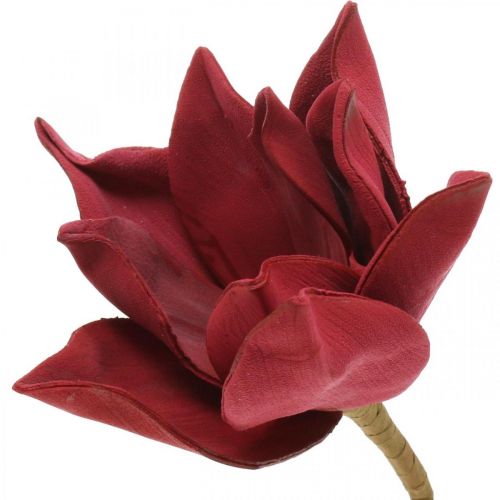 Magnolia kunstbloem op stok Ø10cm Foam 6st Verschillende kleuren