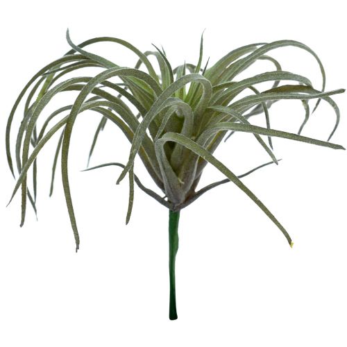 Tillandsia Succulente Groene Kunstplanten 13cm