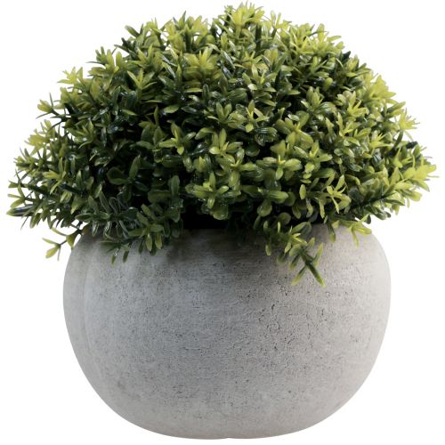 Artikel Kunstplanten Kunstbuxus 12,5cmר12cm 4st