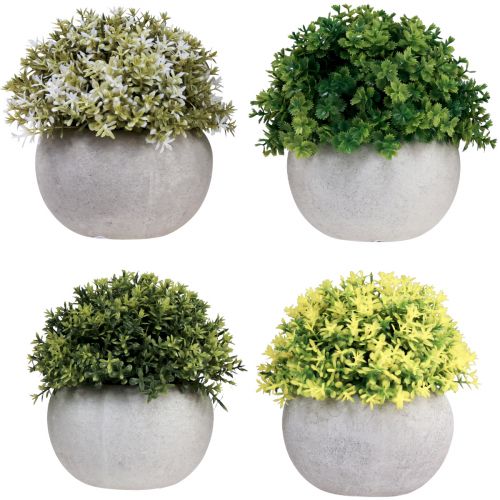 Artikel Kunstplanten Kunstbuxus 12,5cmר12cm 4st