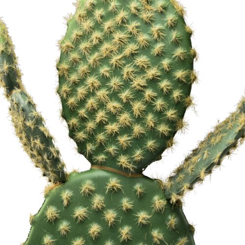 Floristik24 Decoratieve cactus kunstplant cactusvijg 64cm