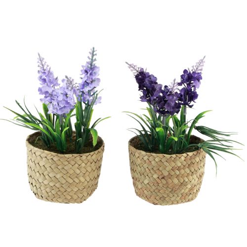 Floristik24 Kunsthyacint in pot zeegras blauw paars 16/17cm 2st