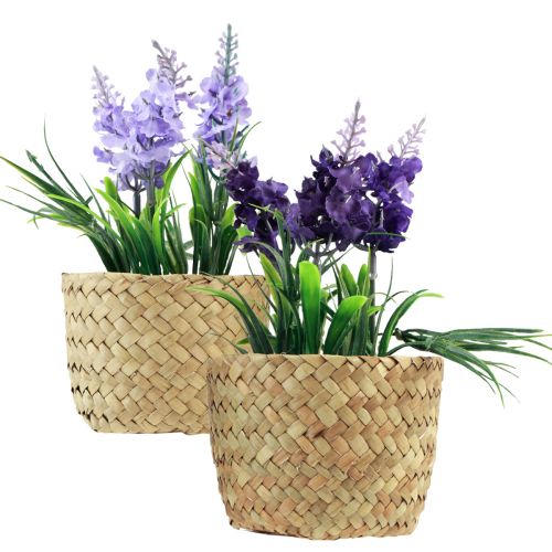Floristik24 Kunsthyacint in pot zeegras blauw paars 16/17cm 2st