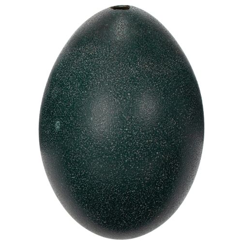 Artikel Emuei-decoraties voor feestelijke huisdecoratie en stijlvolle accenten voor Pasen.