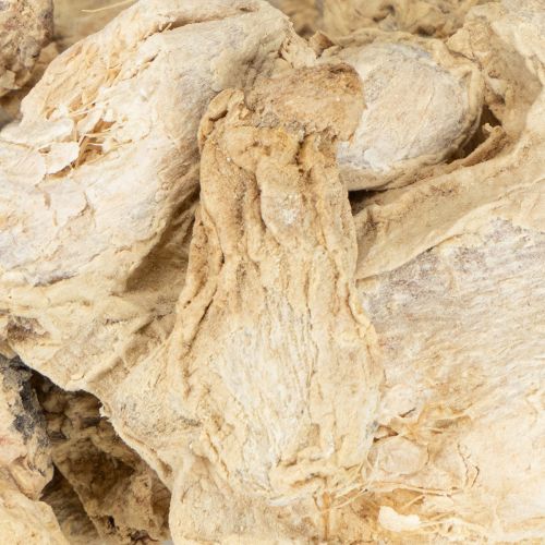 Artikel Gedroogde Gember Decoratie Natuurlijke Decoratie 500g