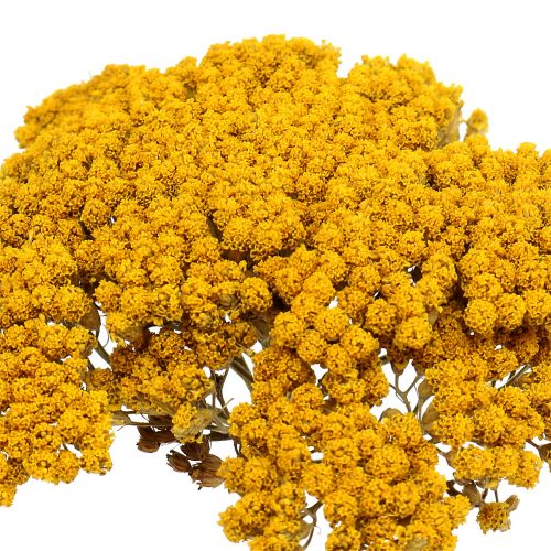 Artikel Achillea 500g naturel