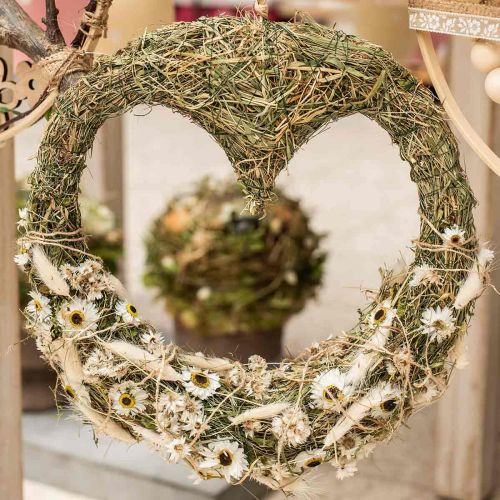 Floristik24 Acroclinium Witte, droge planten, strobloemen, droge bloemsierkunst L20–40cm 25g