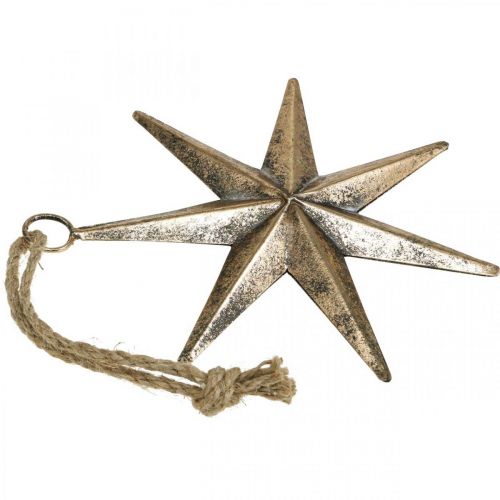 Floristik24 Kerstdecoratie ster hanger goud antiek look B19.5cm