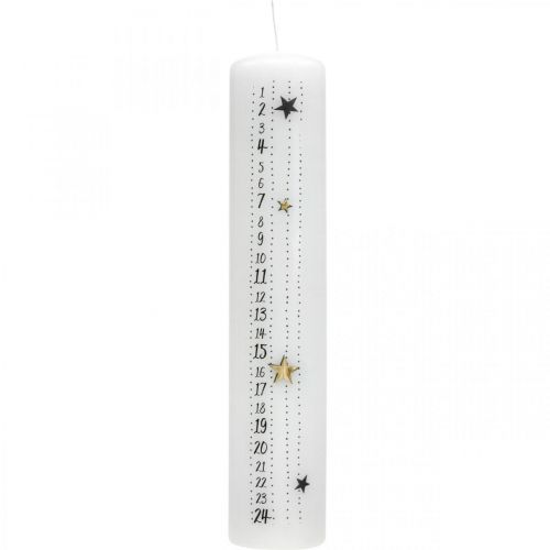 Floristik24 Adventskalender Kaars Witte Pijler Kaars Kerst 250/50mm