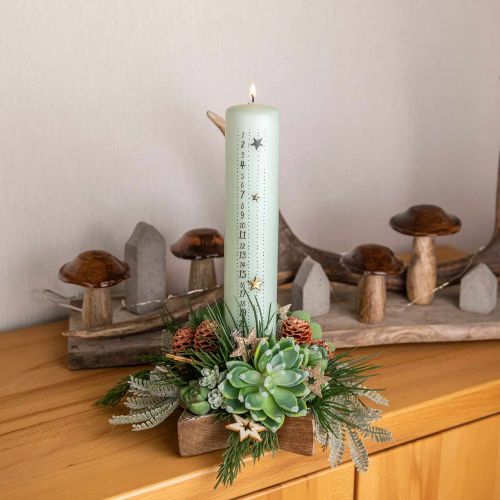 Floristik24 Adventskalender kaars licht groen stompkaars 250/50mm