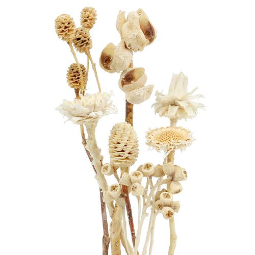 Artikel Afrika assortiment gebleekt 60 st