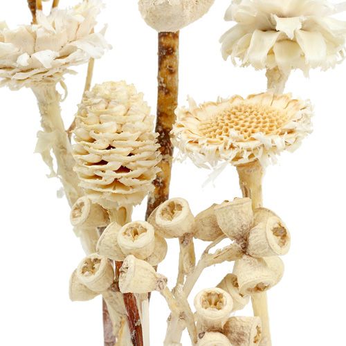 Artikel Afrika assortiment gebleekt 60 st