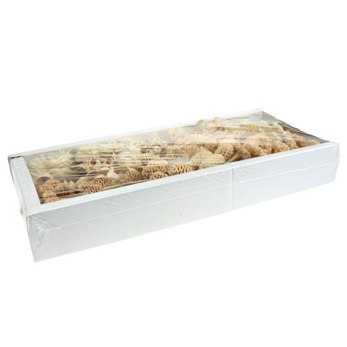 Artikel Afrika assortiment gebleekt 60 st