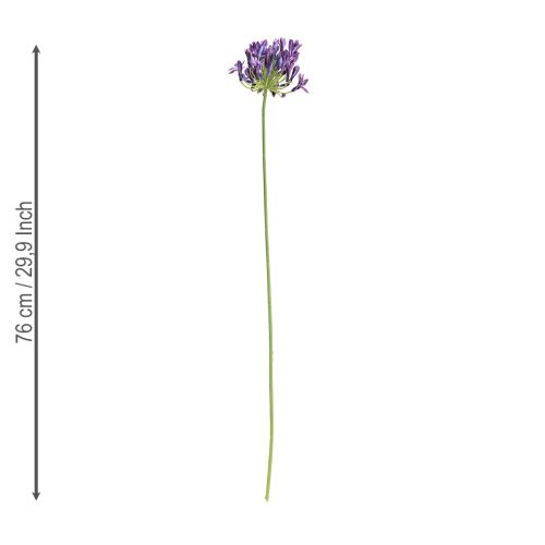 Artikel Agapanthus kunstbloemen paarse decoratie lelies 75cm 2 stuks