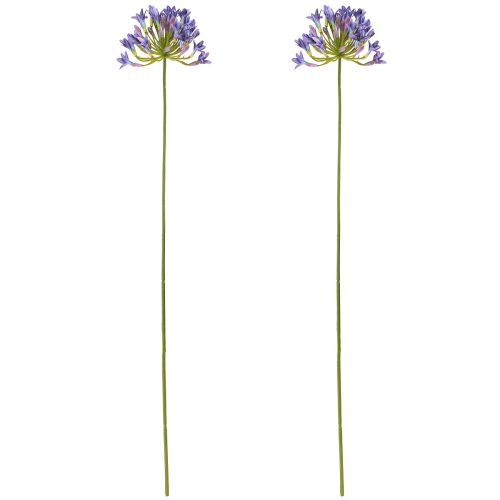 Artikel Agapanthus Afrikaanse Lelie Kunstbloemen Paars L75cm 2st