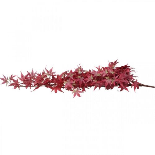 Artikel Japanse Esdoorn Kunst Japanse Esdoorn Rood Groen 105cm