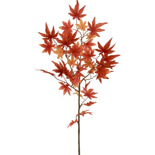 Japanse esdoorn kunst, Japanse esdoorn oranjerood 60cm