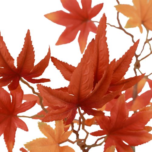Japanse esdoorn kunst, Japanse esdoorn oranjerood 60cm