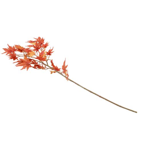 Floristik24 Japanse esdoorn kunst, Japanse esdoorn oranjerood 60cm