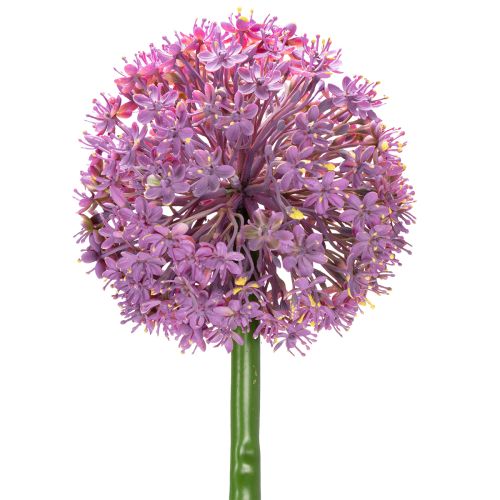 Floristik24 Kunstmatige Allium-bloem, sierui, elegante kamerdecoratie, 90 cm