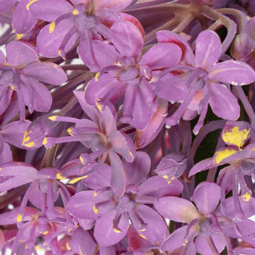 Artikel Kunstmatige Allium-bloem, sierui, elegante kamerdecoratie, 90 cm