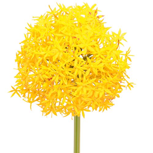 Floristik24 Allium Gele Bloem Kunstui 80cm Ø14,5cm 2st
