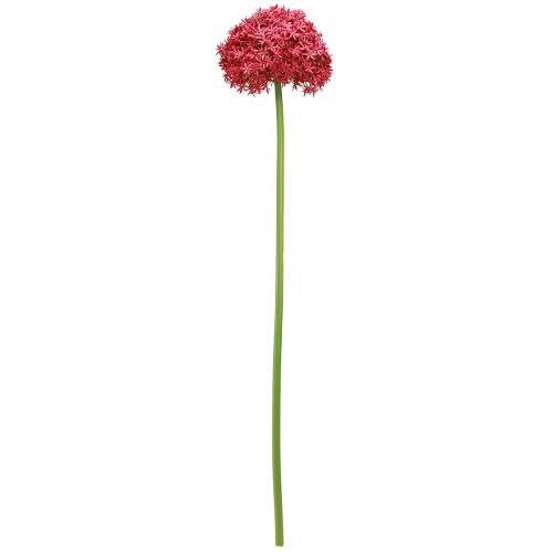 Artikel Allium in Bordeaux kunst sierknoflook Ø18cm L90cm