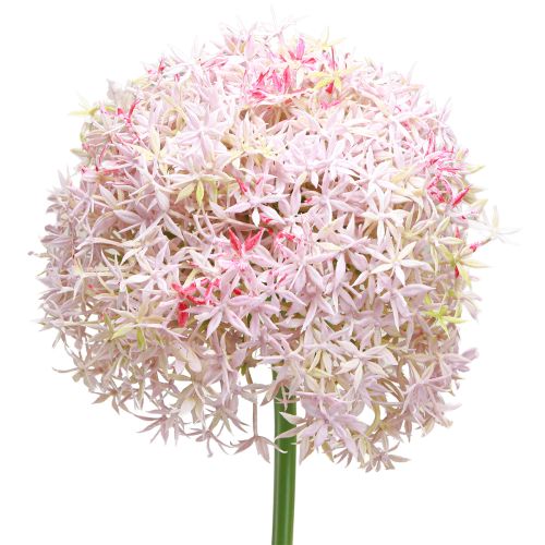 Allium met roze bloemen kunstui Ø18cm L90cm