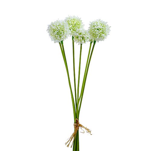 Floristik24 Allium 35cm wit 6st