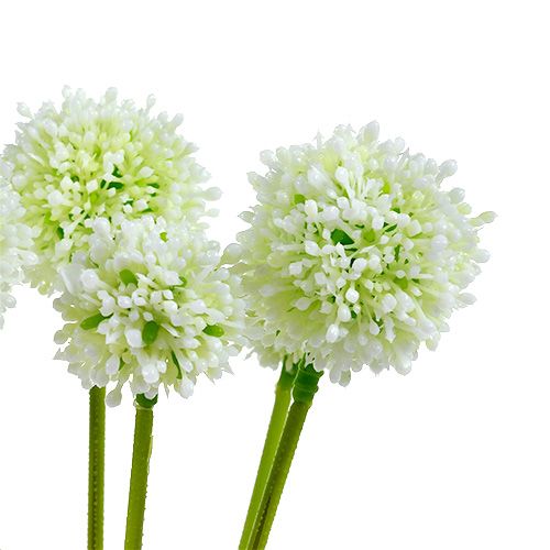 Artikel Allium 35cm wit 6st