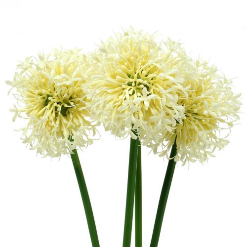 Floristik24 Sierallium kunstmatig wit 51cm 4st