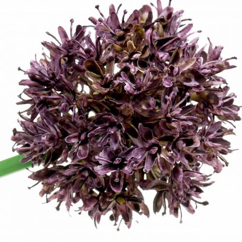 Floristik24 Sier-Allium kunstmatig Paars Ø7cm H58cm 4st