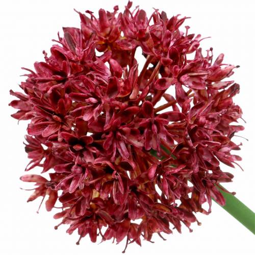 Floristik24 Sier Allium Kunst Mauve Ø7cm H58cm 4st