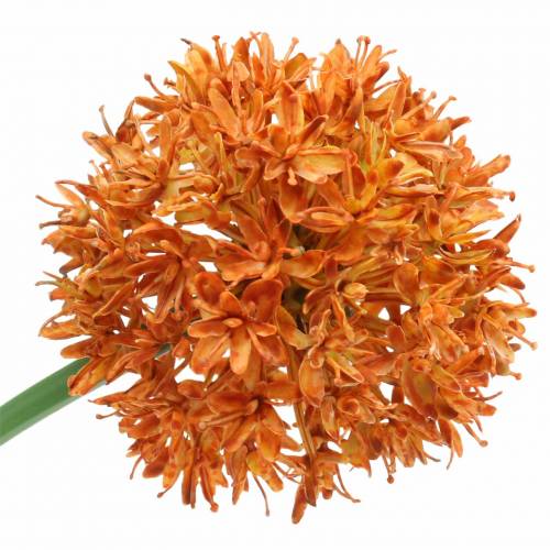 Floristik24 Sierui Allium kunstsinaasappel Ø7cm H58cm 4st