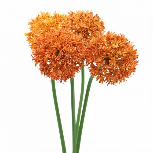 Floristik24 Sierui Allium kunstsinaasappel Ø7cm H58cm 4st