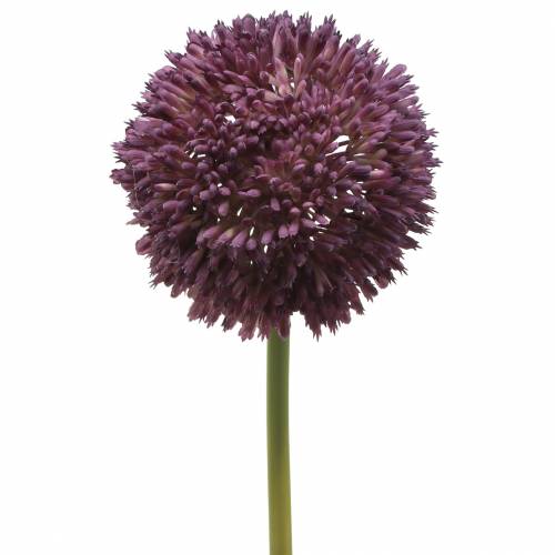 Floristik24 Sier allium kunst lila Ø12cm 65cm