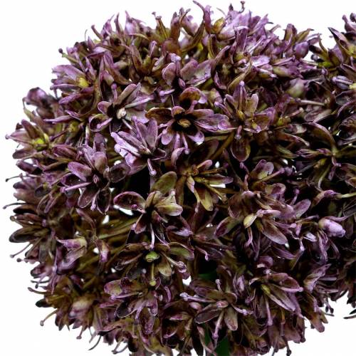 Floristik24 Sierallium kunstmatig Paars 70cm 3st