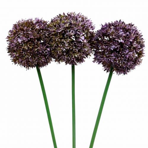 Floristik24 Sierallium kunstmatig Paars 70cm 3st