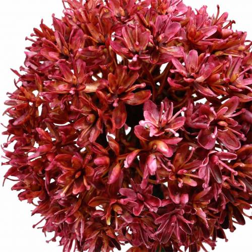 Floristik24 Sier allium kunst Mauve Ø9cm H70cm 3st