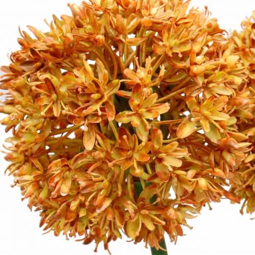 Floristik24 Sierui Allium kunstsinaasappel 70cm 3st