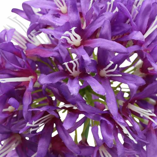 Floristik24 Sierallium kunstpaars Ø12cm H62cm