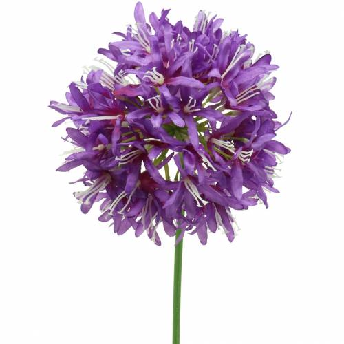 Floristik24 Sierallium kunstpaars Ø12cm H62cm